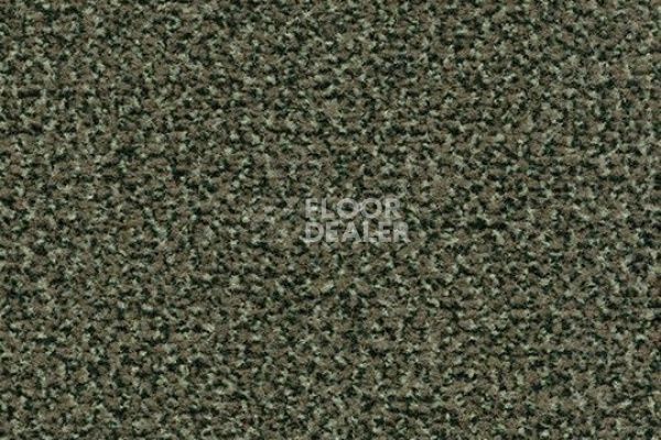 Грязезащитные покрытия Forbo Coral Classic 4758 olive фото 1 | FLOORDEALER